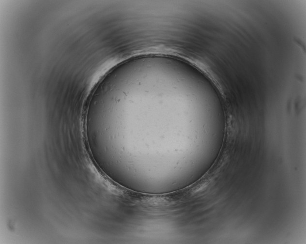 X0000101660998200807241413