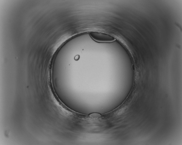 X0000101660999200807241413