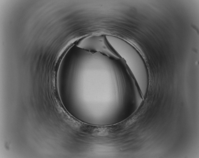 X0000101661000200807241413