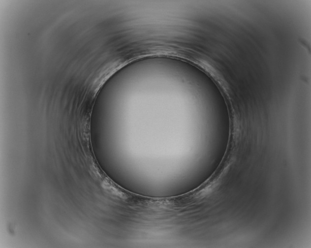 X0000101661001200807241413