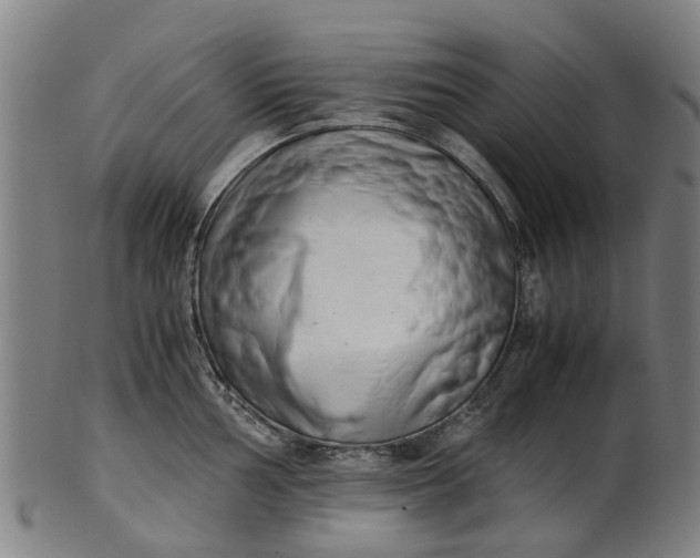 X0000101661002200807241413