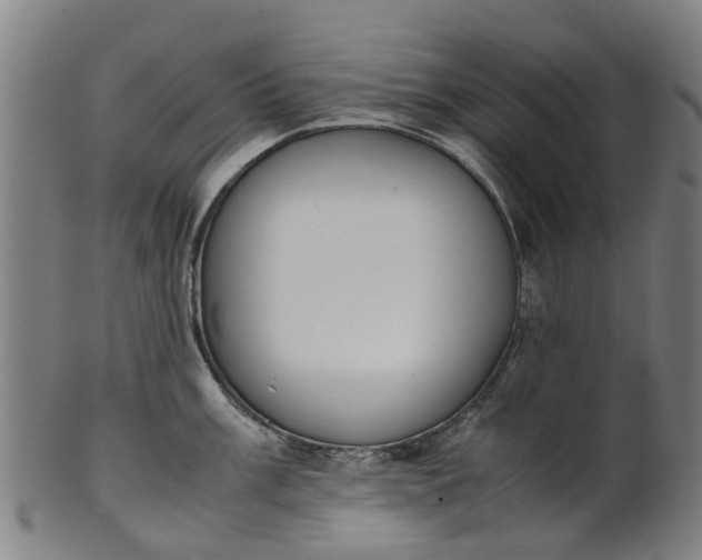 X0000101661003200807241413