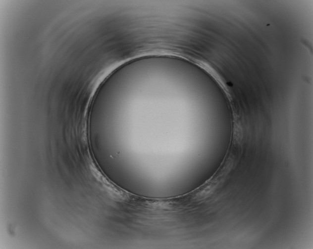 X0000101661004200807241413