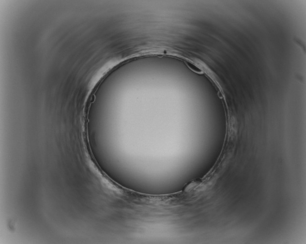 X0000101661005200807241413