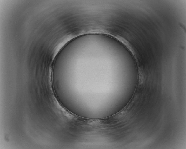 X0000101661006200807241413