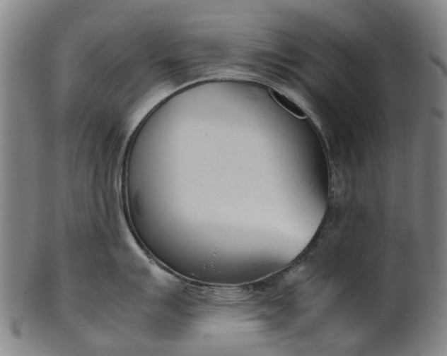 X0000101661007200807241413