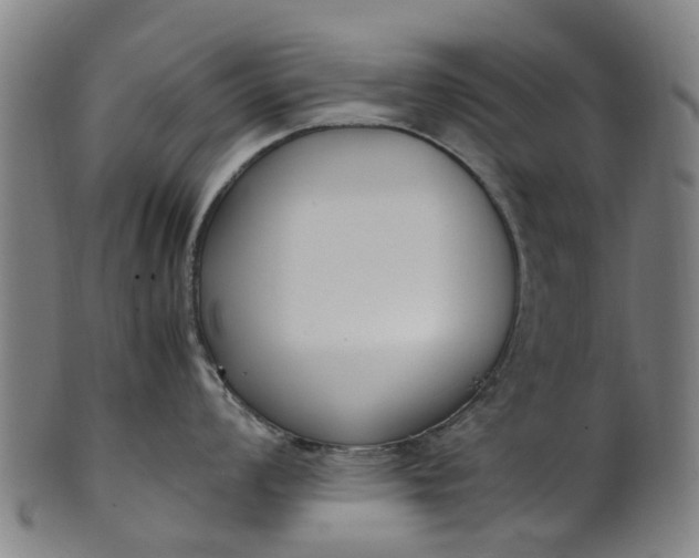 X0000101661008200807241413