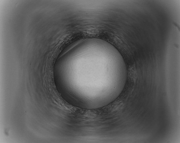 X0000101661009200807241413