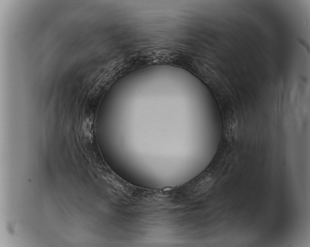 X0000101661010200807241413