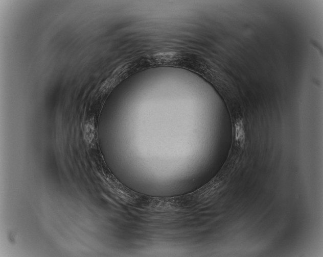 X0000101661011200807241413