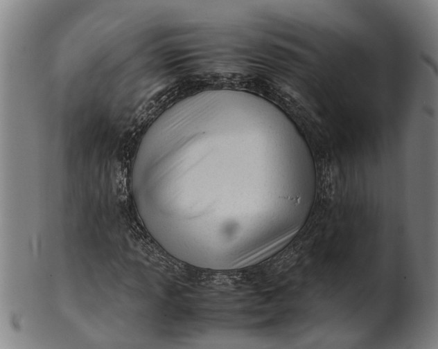 X0000101661013200807241413