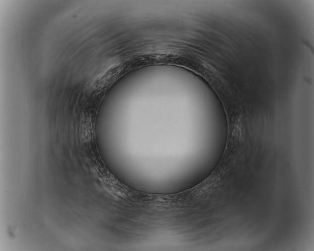 X0000101661014200807241413