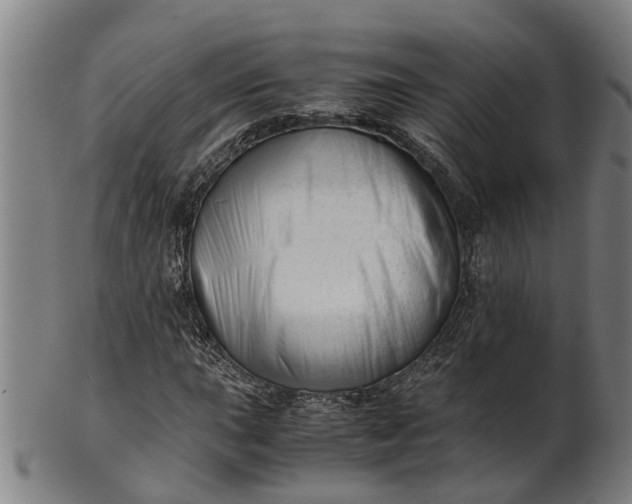 X0000101661015200807241413