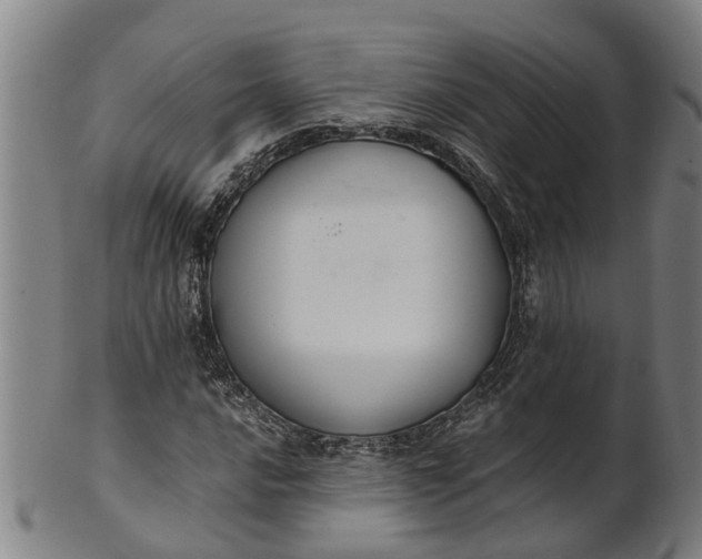 X0000101661016200807241413