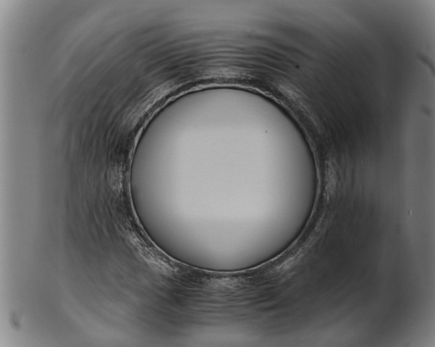 X0000101661017200807241413