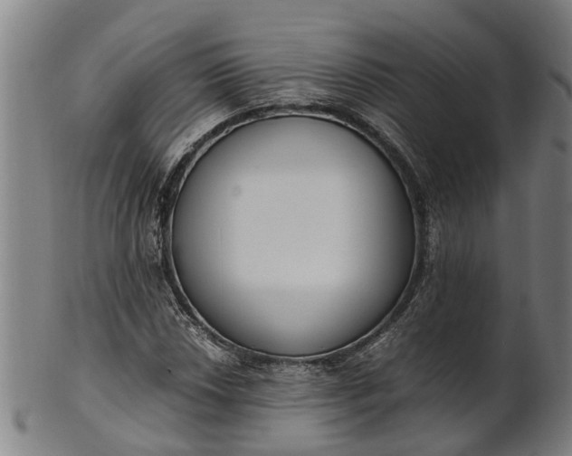 X0000101661018200807241413