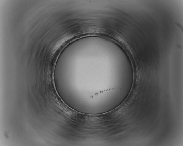 X0000101661019200807241413