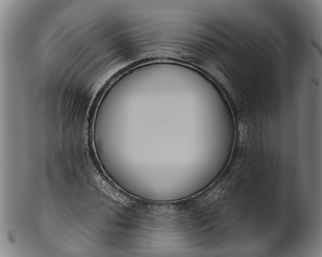 X0000101661020200807241413