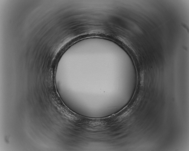 X0000101661021200807241413