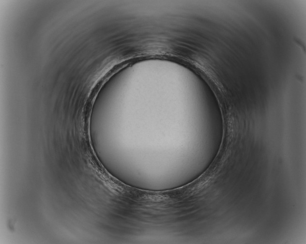 X0000101661023200807241413