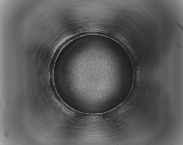 X0000101661024200807241413