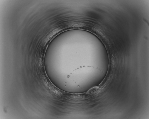 X0000101661025200807241413