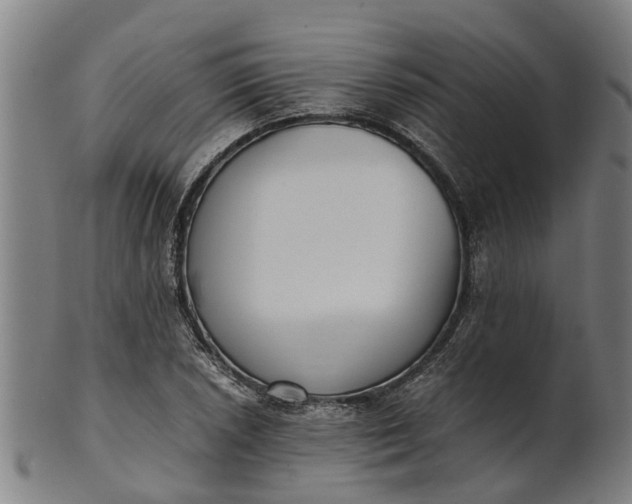 X0000101661026200807241413