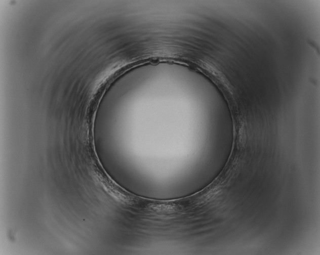 X0000101661027200807241413