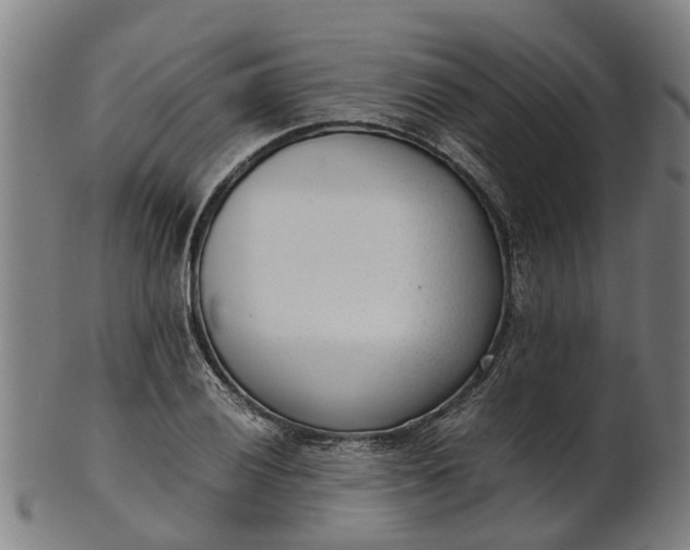 X0000101661028200807241413