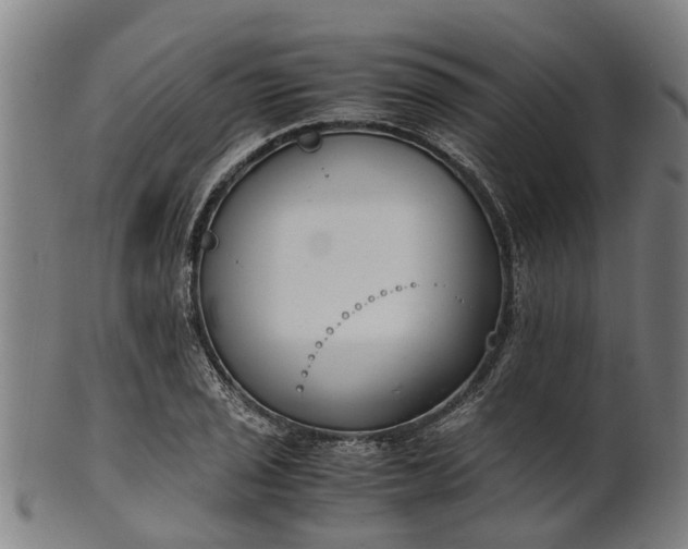 X0000101661029200807241413