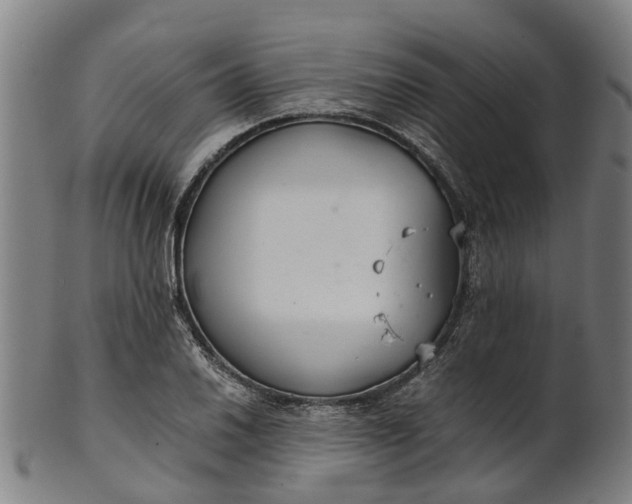 X0000101661030200807241413