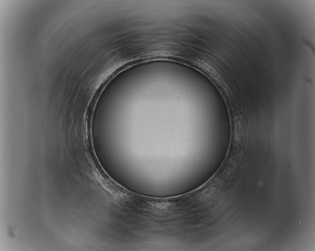 X0000101661031200807241413