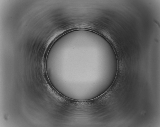 X0000101661032200807241413