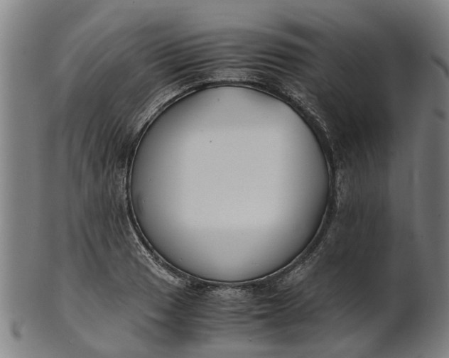 X0000101661033200807241413