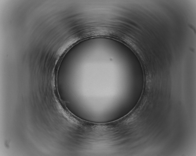 X0000101661034200807241413