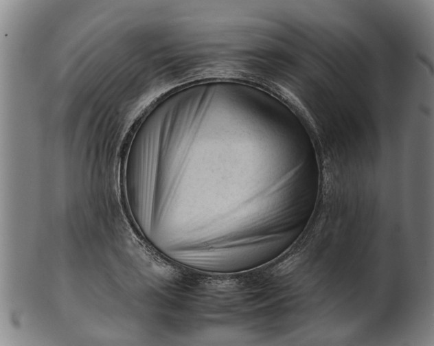 X0000101661035200807241413