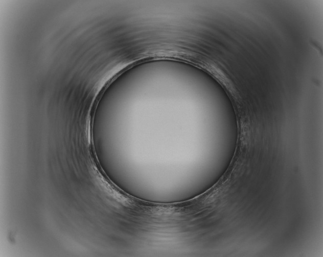 X0000101661036200807241413