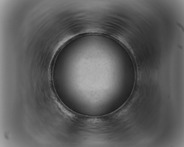 X0000101661037200807241413