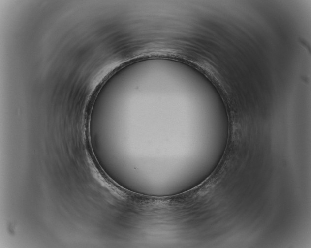 X0000101661038200807241413