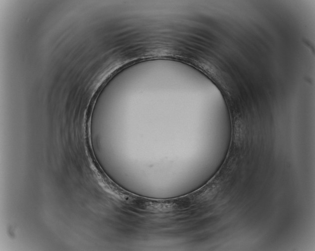 X0000101661039200807241413