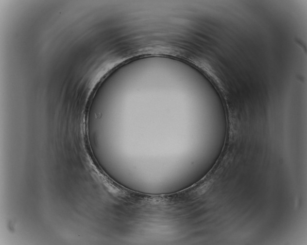 X0000101661040200807241413