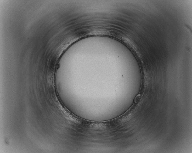 X0000101661041200807241413