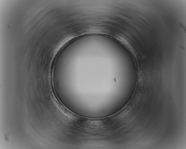 X0000101661043200807241413