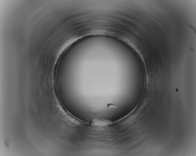 X0000101661045200807241413