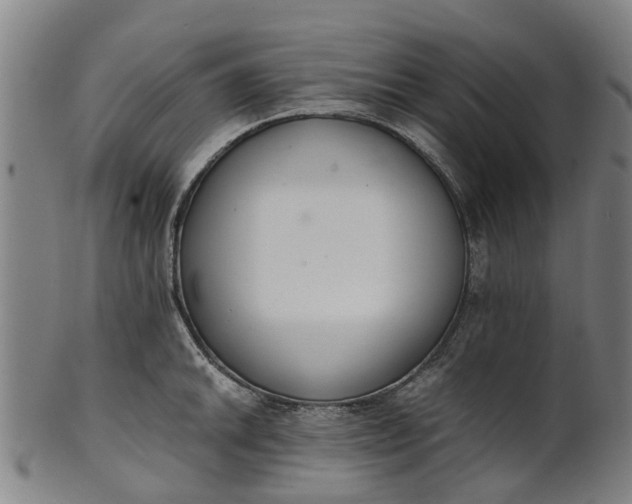 X0000101661046200807241413