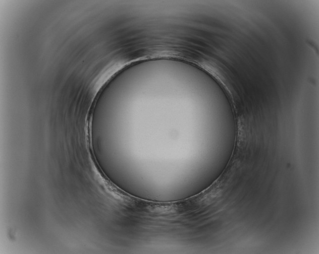 X0000101661047200807241413