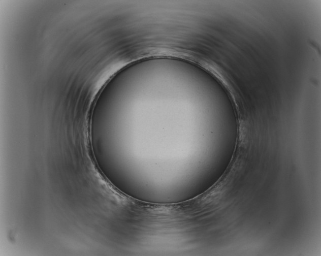 X0000101661048200807241413