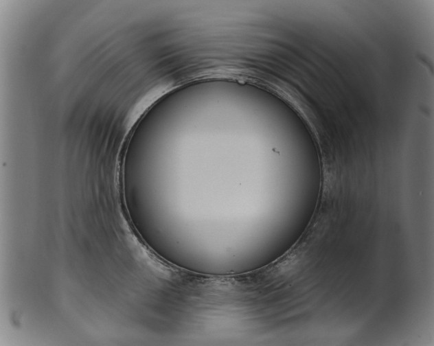 X0000101661050200807241413