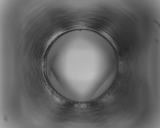 X0000101661051200807241413