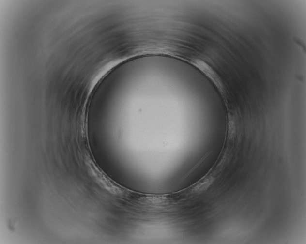 X0000101661052200807241413